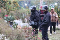 Chợ hoa Công viên Thống Nhất tấp nập ngày cận Tết