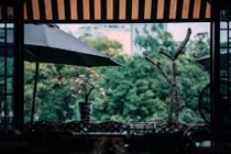 Lời bào chữa của nam phó phòng sau cuộc “tình một đêm” với nhân viên mới