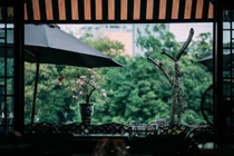 Lời bào chữa của nam phó phòng sau cuộc “tình một đêm” với nhân viên mới