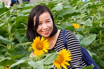 Hàng ngàn người 'check in' vườn hoa hướng dương ngày đầu đưa vào hoạt động