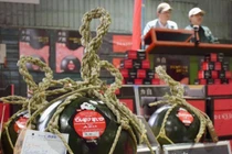 Quả dưa hấu giá hơn 100 triệu có gì đặc biệt?