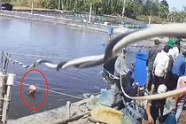 Vụ dàn cảnh trộm tôm “siêu” tinh vi: Chủ tịch Cà Mau chỉ đạo hỏa tốc