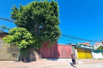 Hà Nội: Hàng loạt công trình “mọc” trên đất nông nghiệp ở phường Tây Tựu