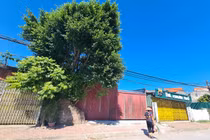 Hà Nội: Hàng loạt công trình “mọc” trên đất nông nghiệp ở phường Tây Tựu