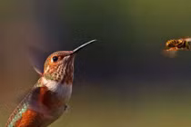 Sinh ngày Âm lịch này nhất định giàu có vì họ biết kiếm tiền, còn chi tiêu hợp lý