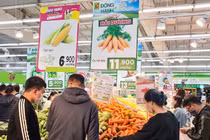 Siêu thị BigC, Co.opmart, Vinmart vào cuộc “giải cứu” nông sản Hải Dương