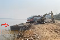 “Băm nát” kè Phương Độ: Huyện Phúc Thọ kiểm tra, xử lý thế nào?