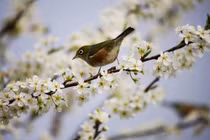 Người sinh vào khung giờ Âm lịch này nóng tính nhưng nhân hậu, tài lộc