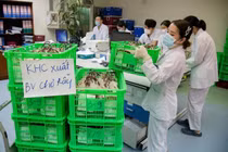 Chuyến bay lúc 1h sáng mang theo 1.000 đơn vị máu chi viện TP.HCM