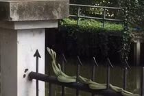 4 con rắn quấn chặt nhau như sợi dây tết, trườn trên hàng rào