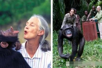 7 loài vật có thể coi là anh hùng trong lịch sử nhân loại