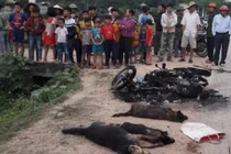 Dân vây đánh chết thanh niên trộm chó: Cảnh báo nhiều rồi!