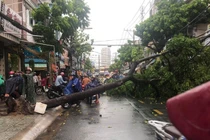 Đường ngập, cây bật gốc sau trận mưa lớn ở TP.HCM