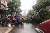 Đường ngập, cây bật gốc sau trận mưa lớn ở TP.HCM