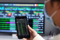 Tập đoàn Hoa Sen và GELEX nói gì về tin đồn khiến cổ phiếu giảm sàn?