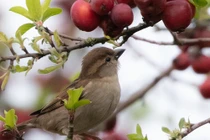 Sinh vào 6 ngày Âm lịch này giàu có bạn bè, sung túc tiền bạc, tràn đầy niềm vui