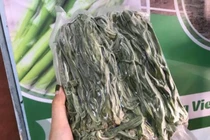 Loại rau trông như nắm cỏ, giá nửa triệu đồng/kg vẫn đắt hàng