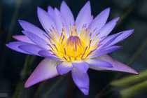 Cung hoàng đạo kém nhất năm 2023, công việc và quan hệ rạn nứt 