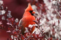 Ai sinh 3 tháng Âm này giỏi chịu đựng, hái tiền vào nửa cuối năm 2022