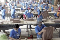 Gỗ Trường Thành kinh doanh thế nào... bị cảnh báo hủy niêm yết?