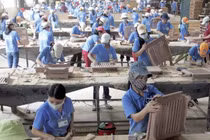 Gỗ Trường Thành kinh doanh thế nào... bị cảnh báo hủy niêm yết?