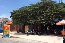 Loạt công trình vi phạm TTXD đường Nguyễn Văn Huyên kéo dài: Kiến nghị quận Tây Hồ vào cuộc