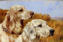 Những con giáp có sự nghiệp hanh thông trong 5 năm tới