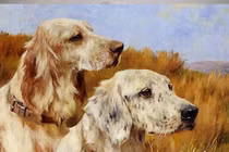 Những con giáp có sự nghiệp hanh thông trong 5 năm tới