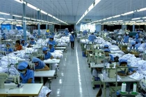 Cty xuất nhập khẩu Bình Thạnh làm ăn sao... muốn thoái hết vốn tại Dệt May Gia Định?