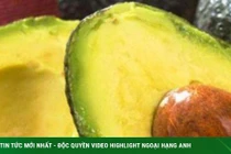 8 thực phẩm cực tốt cho người bị rụng tóc