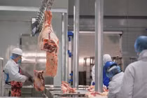 Thịt trâu đông lạnh Ấn Độ có SARS-CoV-2: Việt Nam có nhập?