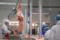 Thịt trâu đông lạnh Ấn Độ có SARS-CoV-2: Việt Nam có nhập?