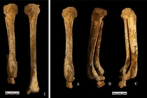 Hài cốt 3.000 tuổi hé lộ hình phạt kinh hoàng thời Trung Quốc cổ đại