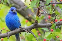 Ai sinh tháng Âm lịch này nhân hậu, được lòng người