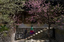 Hà Giang: Đẹp nao lòng mùa Xuân ở Lao Xa