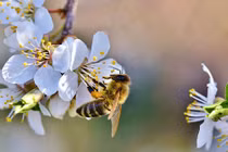 Năm 2022, 3 con giáp thiếu tình thừa tiền, cuối năm càng thu khủng 