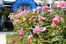 Hai tháng liền chồng đòi mở cửa phòng ngủ, biết sự thật tôi chết cay chết đắng