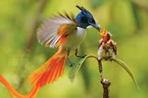 Sinh con năm Giáp Thìn 2024 vào tháng Âm lịch nào cuộc đời hạnh phúc