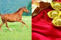 3 con giáp may mắn hái vàng hái bạc đúng dịp nghỉ lễ 30/4 - 1/5