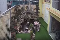 Video: Bé gái trượt chân ngã xuống hồ cá và 1 phút trôi qua đầy căng thẳng