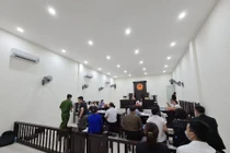 Phúc thẩm tranh chấp Cty TDS - Trường Newton: Vì sao tòa chưa tuyên án?