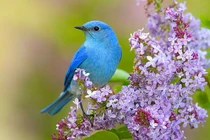 Ai sinh ngày Âm lịch này từng bước thăng tiến, quý nhân chống lưng