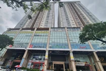 Vì sao 9 thửa đất của hai công ty ở Đà Nẵng bị thanh tra? 