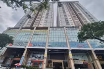 Vì sao 9 thửa đất của hai công ty ở Đà Nẵng bị thanh tra? 