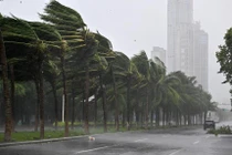 View - Lồng bè tan hoang sau bão, Hạ Long đối mặt với sự cố môi trường | Báo Tri thức và Cuộc sống - TIN TỨC PHỔ BIẾN KIẾN THỨC 24H