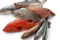 2 loại cá rẻ tiền chứa nhiều collagen chống lão hóa