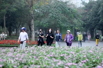 Chủ tịch HN khuyên dân nên ở nhà đến 31/3: Chuyên gia y tế nói gì?