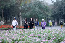 Chủ tịch HN khuyên dân nên ở nhà đến 31/3: Chuyên gia y tế nói gì?