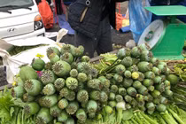 "Choáng" cây thuốc phiện bán như rau ở chợ vùng biên