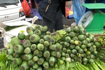 "Choáng" cây thuốc phiện bán như rau ở chợ vùng biên